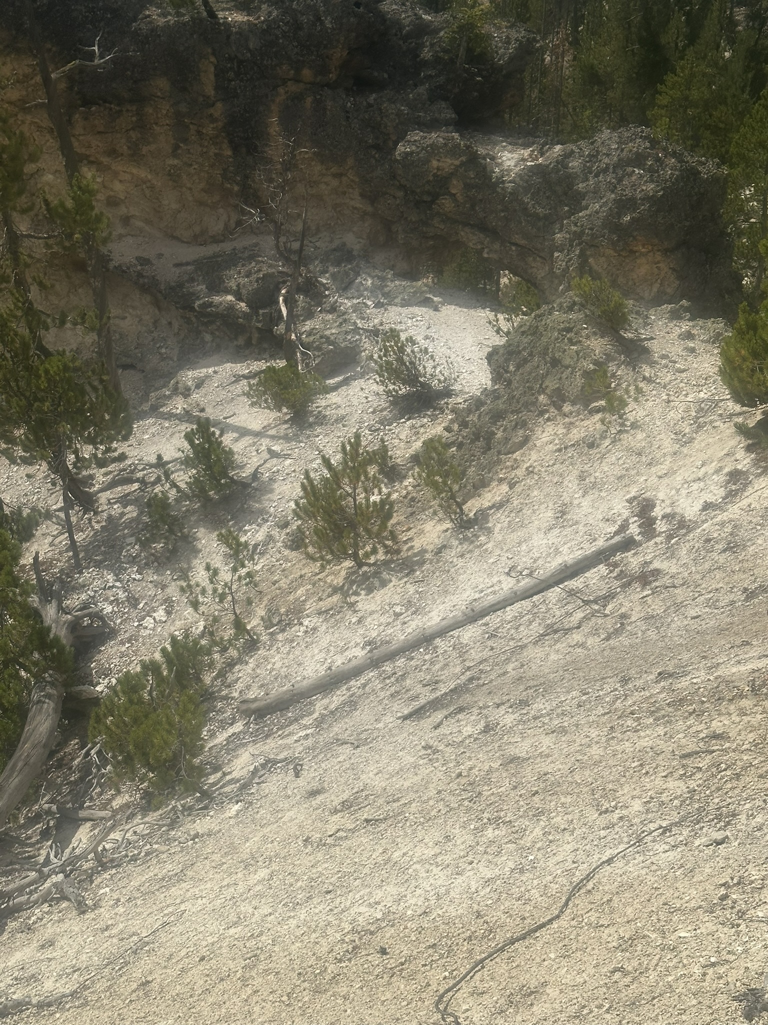 Yellowstone And Grand Teton National Parks - Image 652